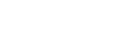 Logo BRAIN NETWORKS