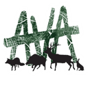 AVA
