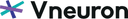 Vneuron